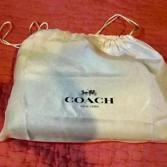 SALE!! Coach CUSTOMIZED Hamptons Bag with Tea Roses & Bonus Bag Charms NWT - Picture 4 of 15